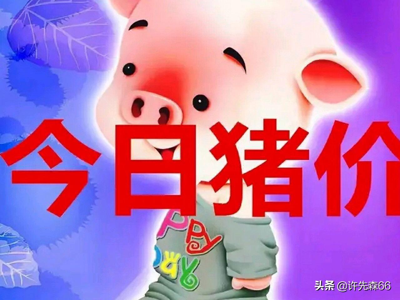 娱乐生活 第67页